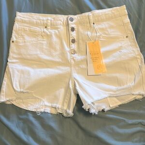 Risen distressed shorts